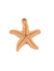 Starfish Charms