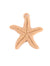 Starfish Charms